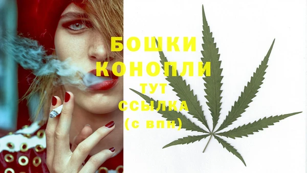 2c-b Аркадак