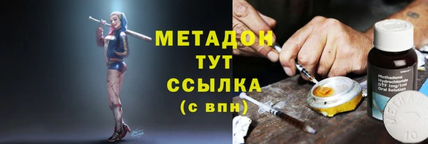 сатива Верея