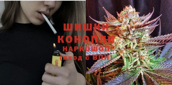крисы Майский