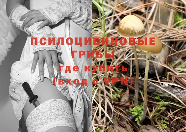 эйфоретик Мегион