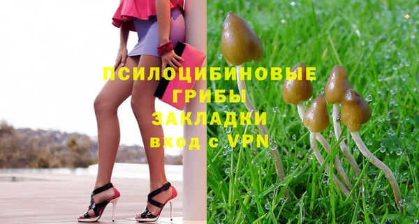 крисы Майский