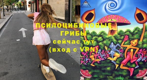 дживик Магадан