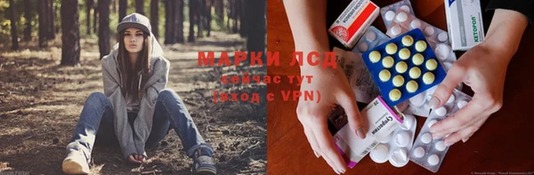 дурь Осташков