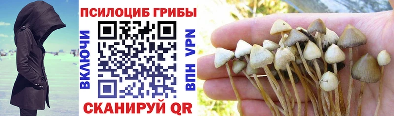 Псилоцибиновые грибы Psilocybe  Трёхгорный 